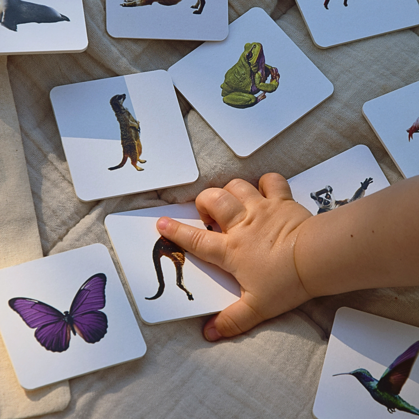 Le jeu évolutif